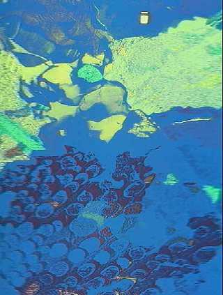 Illustration for article titled Slit-Scan Photographs Make for Psychedelic Photo Finishes